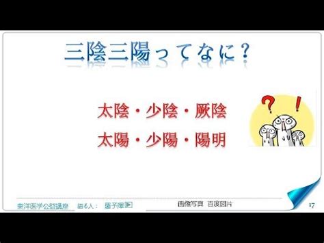 三陽三陰|東洋医学公益講座 第53回 十二正経前置き②三陰三陽